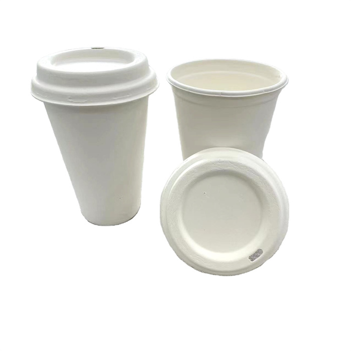 sugarcane cup from mmcis china